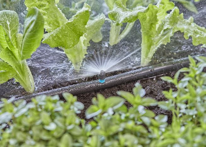 Gardena Sprühausguss – Länge 30 mm, 180° Sprühdüse, 2,75 m, Kunststoff, Schwarz/Grün, für Tropfbewässerung