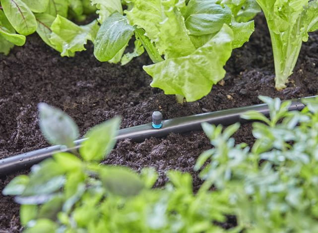 Gardena Micro-Drip-System Sprühdüse 30 mm Kunststoff – 1 Stück – 90° Sprühdüse – für Tropfbewässerungssystem