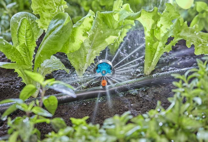 Gardena 6-in-1 Sprühdüse – 34 mm, Kunststoff, Grau/Türkis/Orange, Endzeilenmontage, für Micro-Drip-System