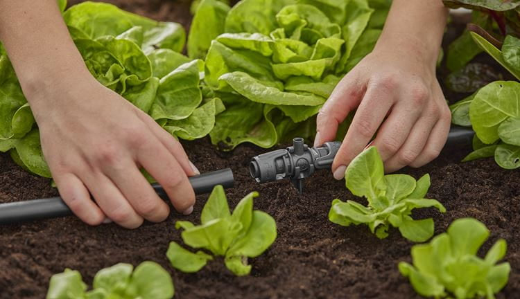 Gardena Micro-Drip-System Knotenverbinder – 13 mm, Kunststoff, schwarz, für Tropfbewässerungssystem