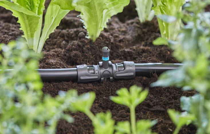 Gardena Micro-Drip-System Knotenverbinder – 13 mm, Kunststoff, schwarz, für Tropfbewässerungssystem