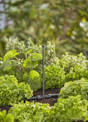 Gardena Micro-Drip-System Sprühdüse 30 mm Kunststoff – 1 Stk – 360°