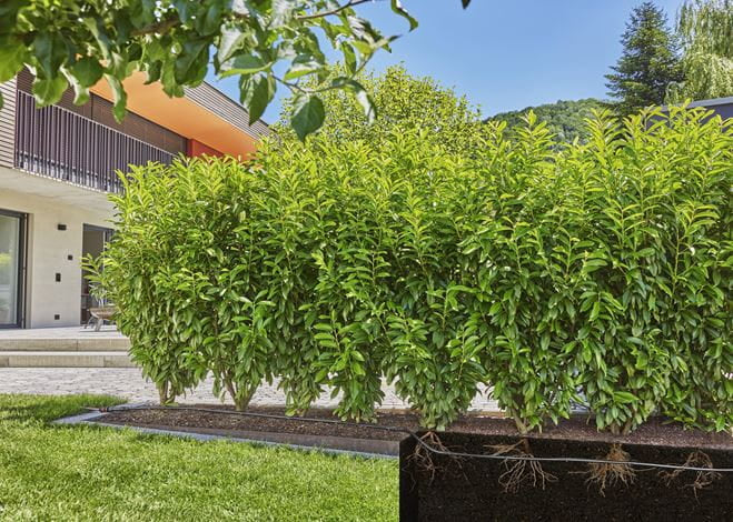 Gardena Micro-Drip-System – Tropfrohr 1,6 l/h, 50 m, Kunststoff, Schwarz, für Micro-Drip-System