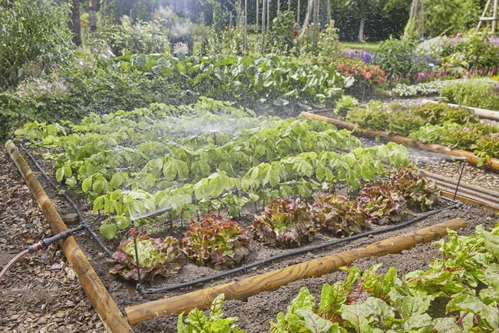 Gardena 13450-20 Micro-Drip-System – Schlauchlänge 25 m, Kunststoff – für Gemüse- & Blumenbeet