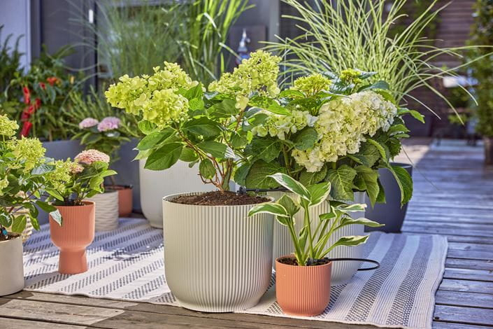 Gardena Micro-Drip-System 13400-20 – Schlauchlänge 15 m, Kunststoff