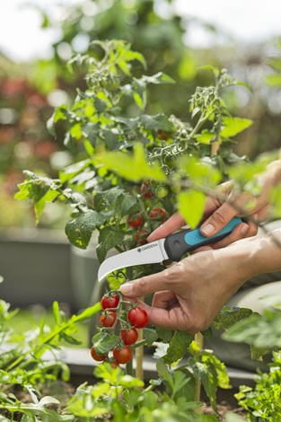 Gardena VeggieCut – Astschere 84 mm, Kunststoff, Schwarz, Grün, 1 Stk.