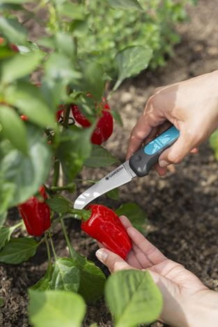 Gardena VeggieCut – Astschere 84 mm, Kunststoff, Schwarz, Grün, 1 Stk.
