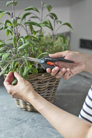 Gardena FreshCut – Ast- und Gartenschere 47 mm, Messer Edelstahl, Sicherheitssperre, Schwarz/Grün