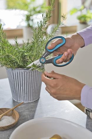 Gardena HerbCut – Astschere, Schnittbreite 52 mm, Klinge aus Edelstahl, Kunststoffgriff, grün