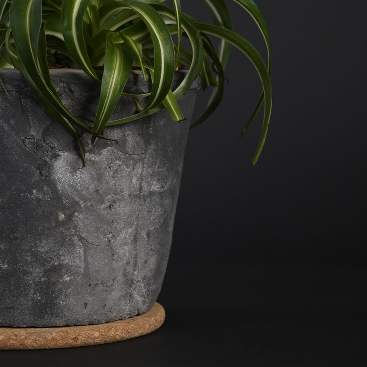 Esschert Design Topfuntersetzer Ø 10 × 1 cm, Kork, braun