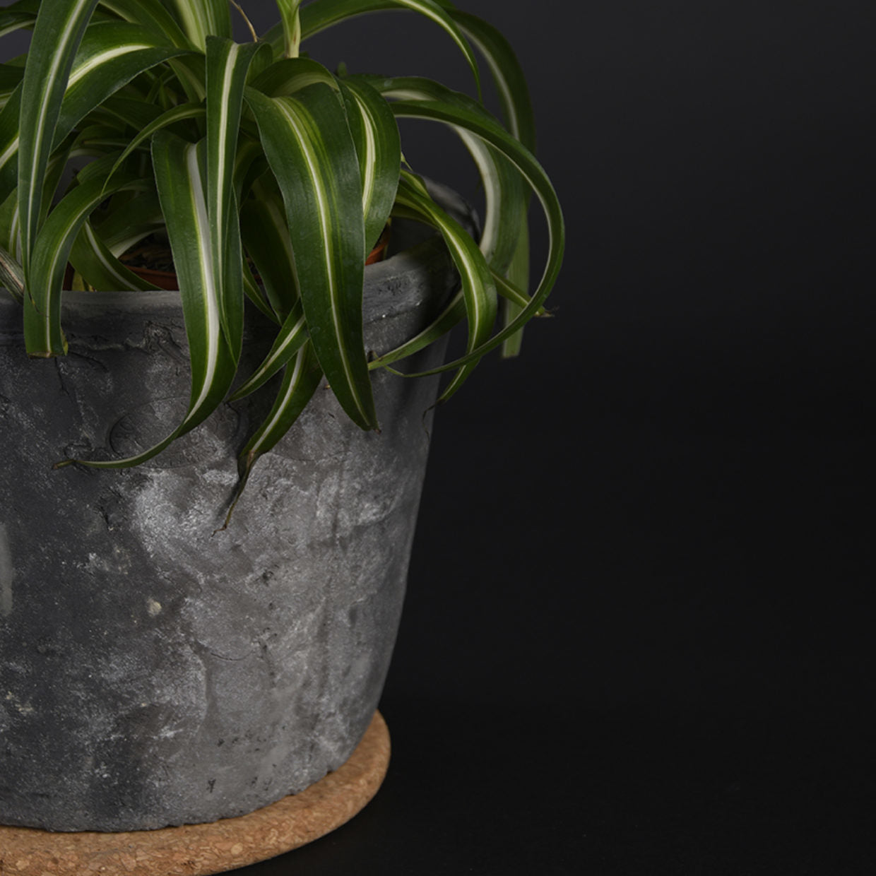 Esschert Design Topfuntersetzer Ø 15 × 1 cm, Kork, braun