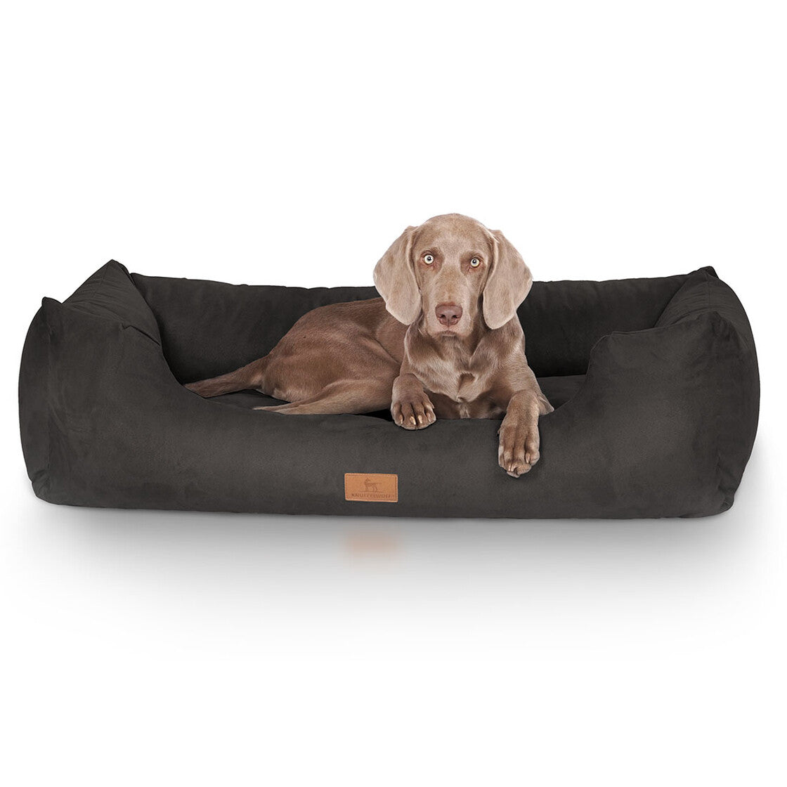 Knuffelwuff Polster-Haustier-Bett – 85 × 120 × 25 cm, Velour, Schaumstoff, Bezug abnehmbar, Schwarz