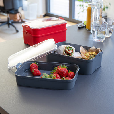 Koziol STAKK – Lunchbox 2 l, 14 × 22,8 × 10,8 cm, Biokunststoff, grau/transparent