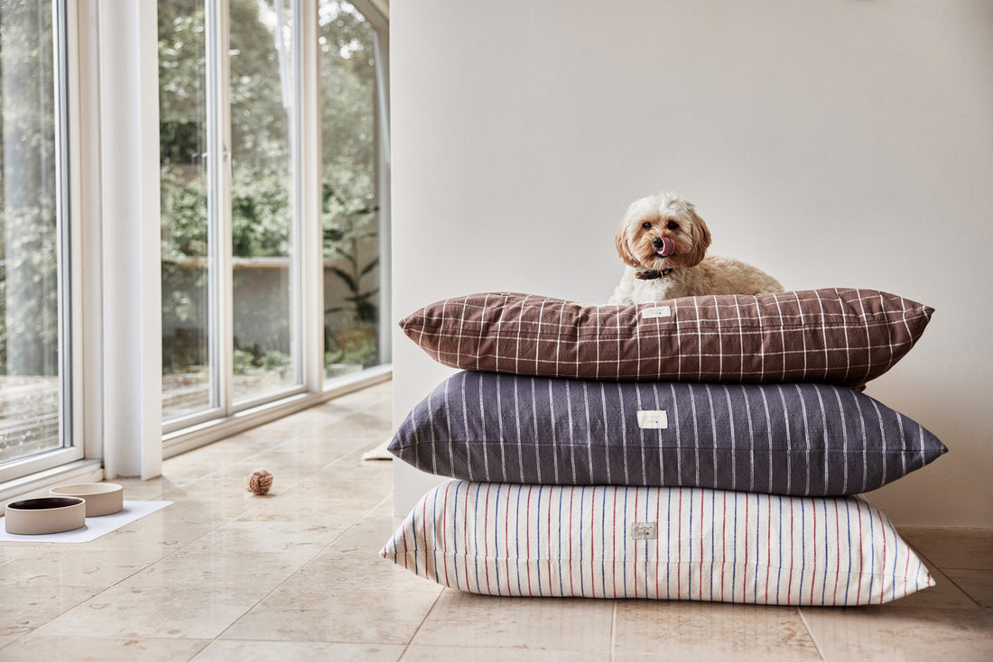 OYOY Kyoto Hundekissen – 60 × 74 cm, Bio-Baumwolle, Anthrazit