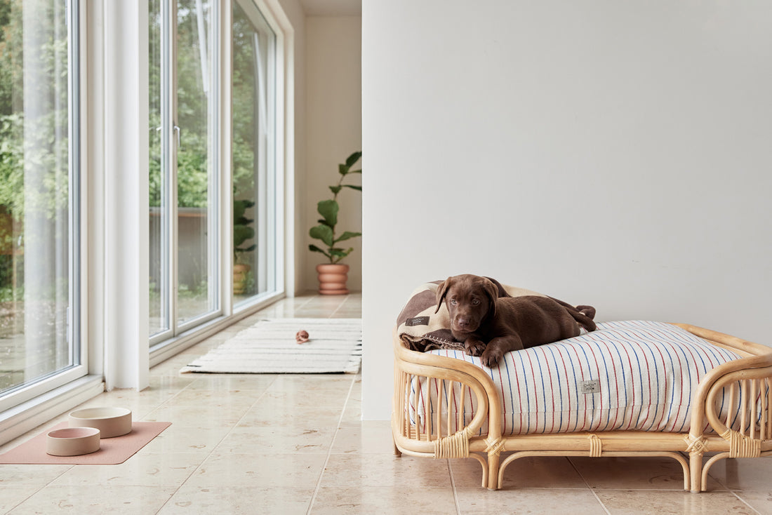 OYOY Wohndecke – Polyester, Schokolade – 180 × 205 cm