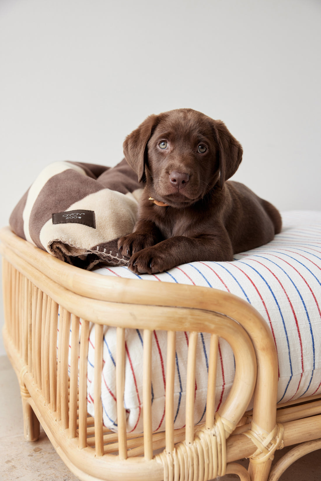 OYOY Otto Hundebett M – 55 × 69 × 30 cm – Rattan – beige