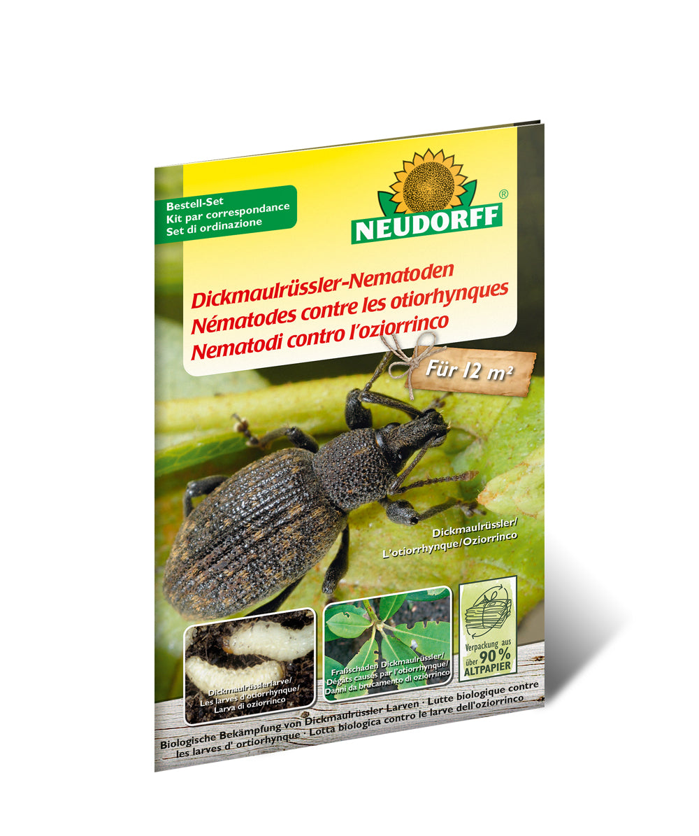 Neudorff Nematoden – Granulat – Bio – für Dickmaulrüssler