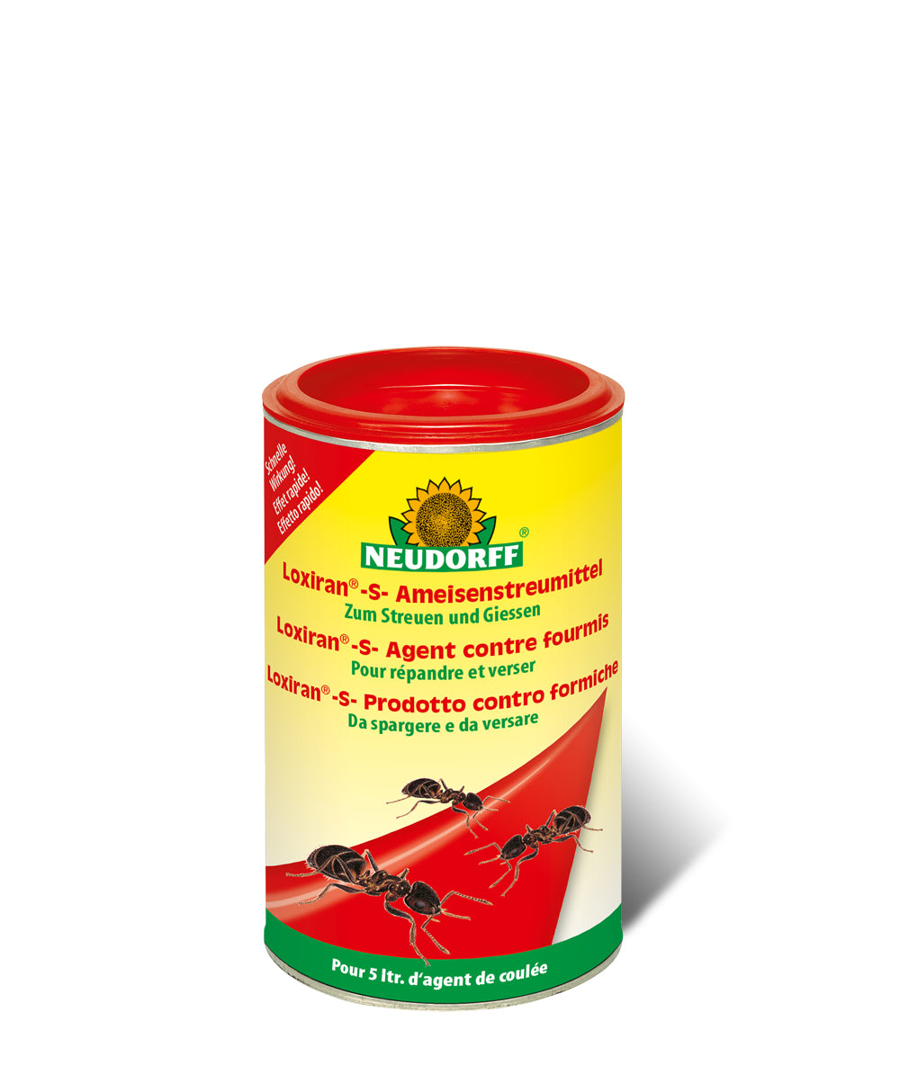 Neudorff Insektenfalle – 6 × 9 × 6 cm – transparent – für Ameisen