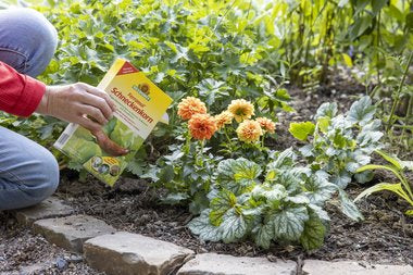 Neudorff Ferramol Schneckenkorn – 500 g – für Schnecken