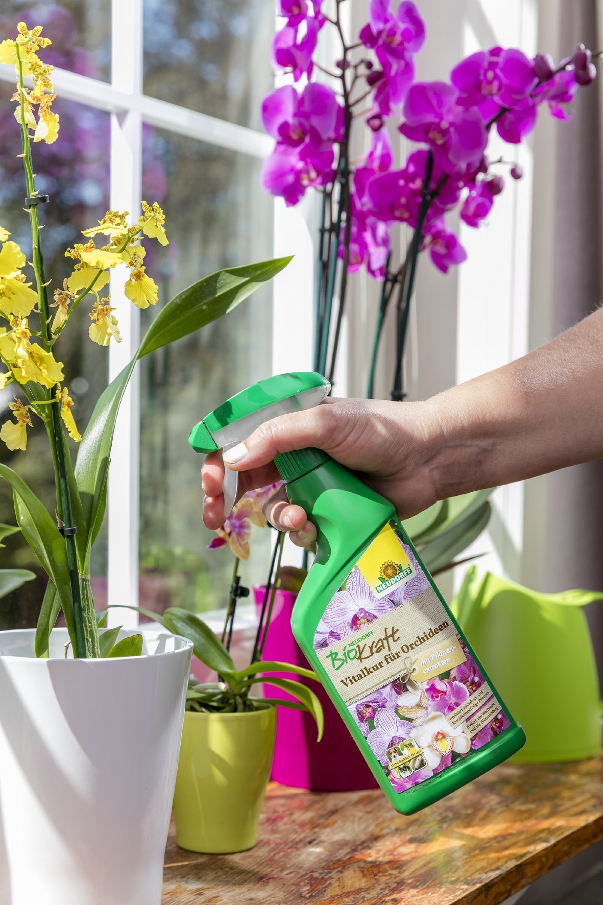 Neudorff Einzelnährstoffdünger Flüssig, 0,5 l, Bio, gebrauchsfertig – für Zimmerpflanzen – 1 Stück