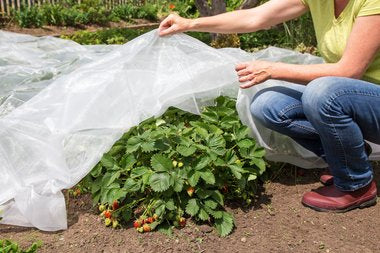 Neudorff Insektenschutznetz – 230 × 425 cm – transparent – für Fluginsekten