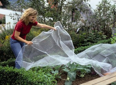 Neudorff Insektenschutznetz – 230 × 425 cm – transparent – für Fluginsekten