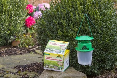 Neudorff Insektenfalle – grün – für Buchsbaumzünsler