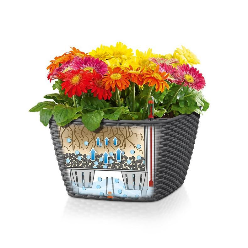 LECHUZA Pflanzgefäss – 30 × 18 × 30 cm – Kunststoff, sandbraun