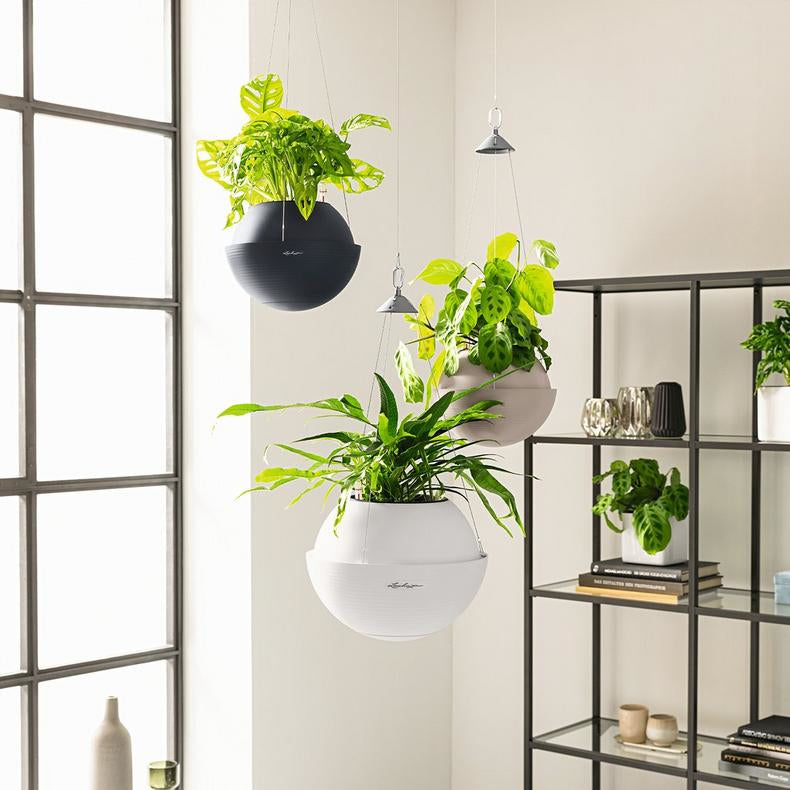 LECHUZA BOLA Color 23 Pflanzgefäss – Ø 23 × 18 cm – Kunststoff, sandbraun
