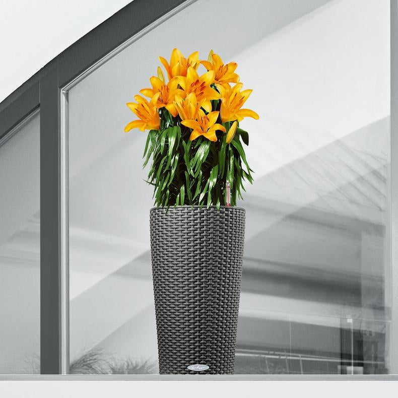 LECHUZA CILINDRO cottage 23 Pflanzgefäss – Ø 23 × 41 cm – Kunststoff, schwarz