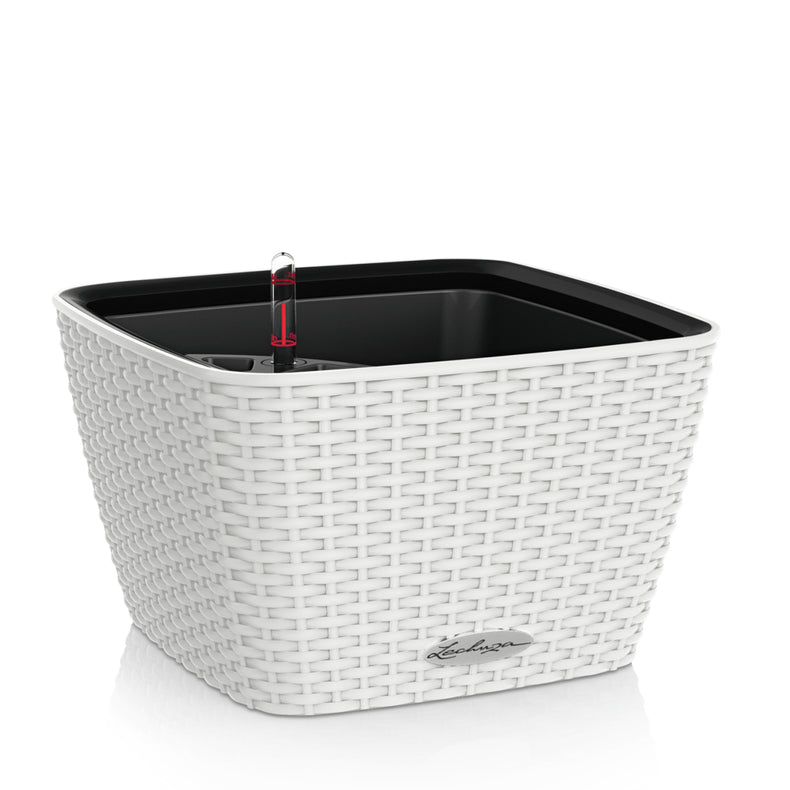 LECHUZA BACINO Cottage Pflanzkübel – 30 × 30 × 18 cm, 6000 ml – Kunststoff, weiss