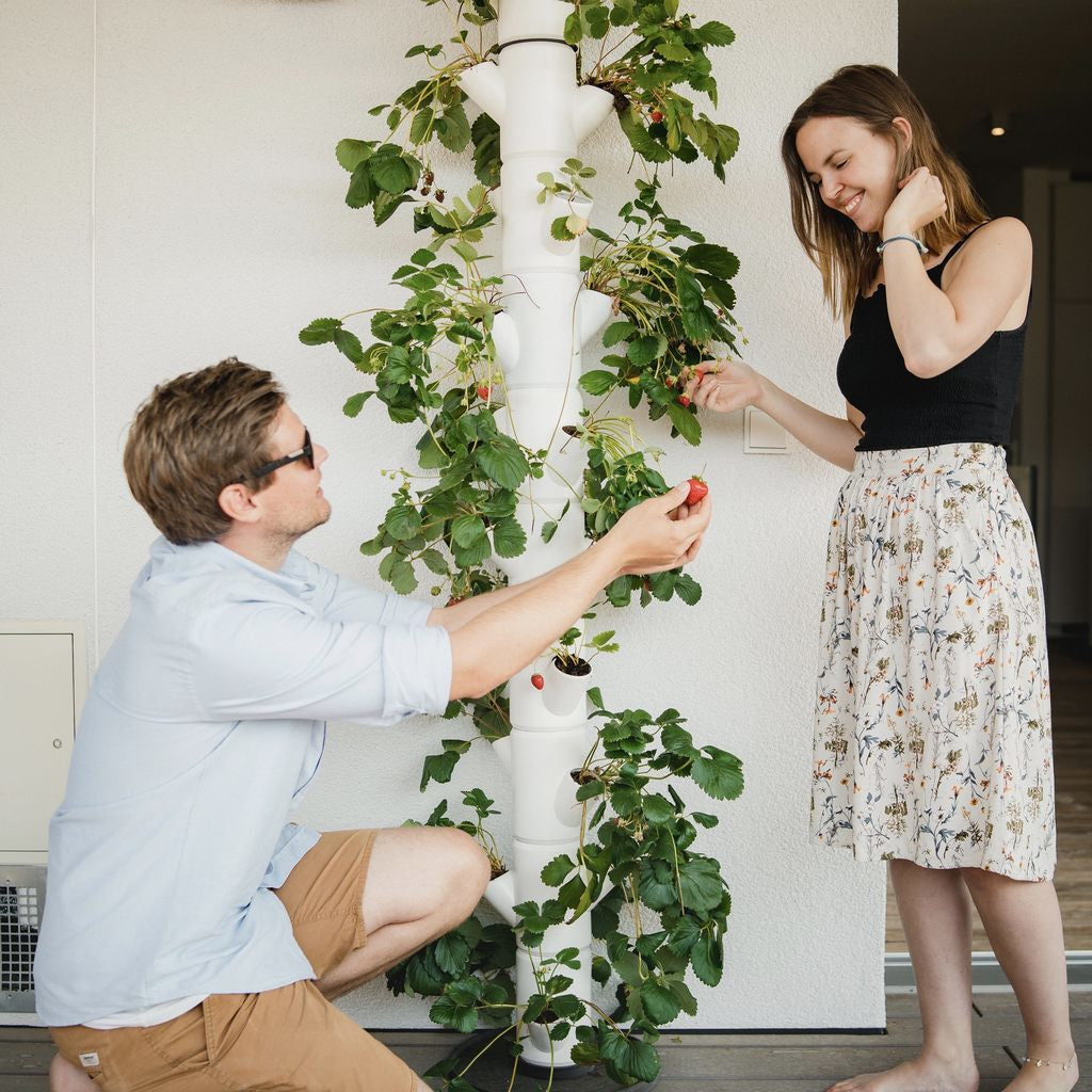 Gusta Garden Wandhalterung – Stahl – Anthrazit – Winddicht, für Innen und Aussen