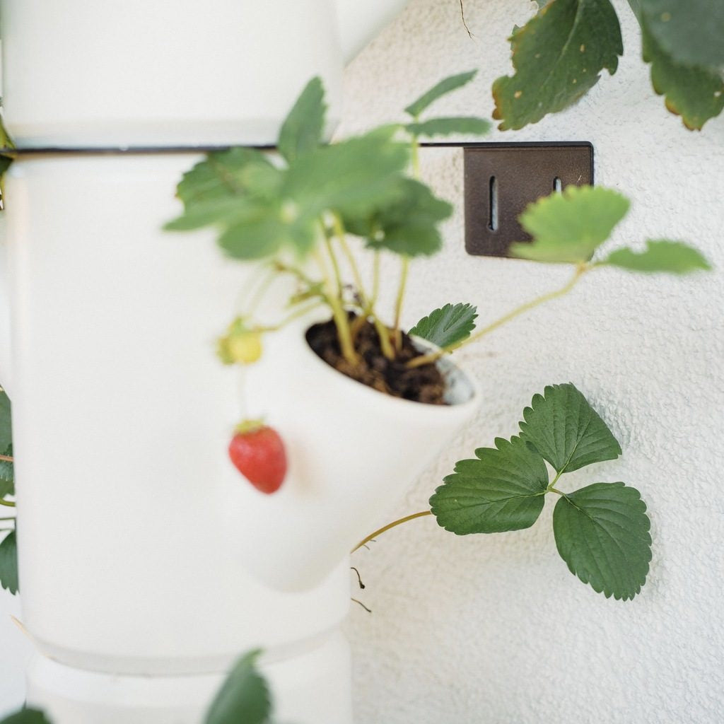 Gusta Garden Wandhalterung – Stahl – Anthrazit – Winddicht, für Innen und Aussen