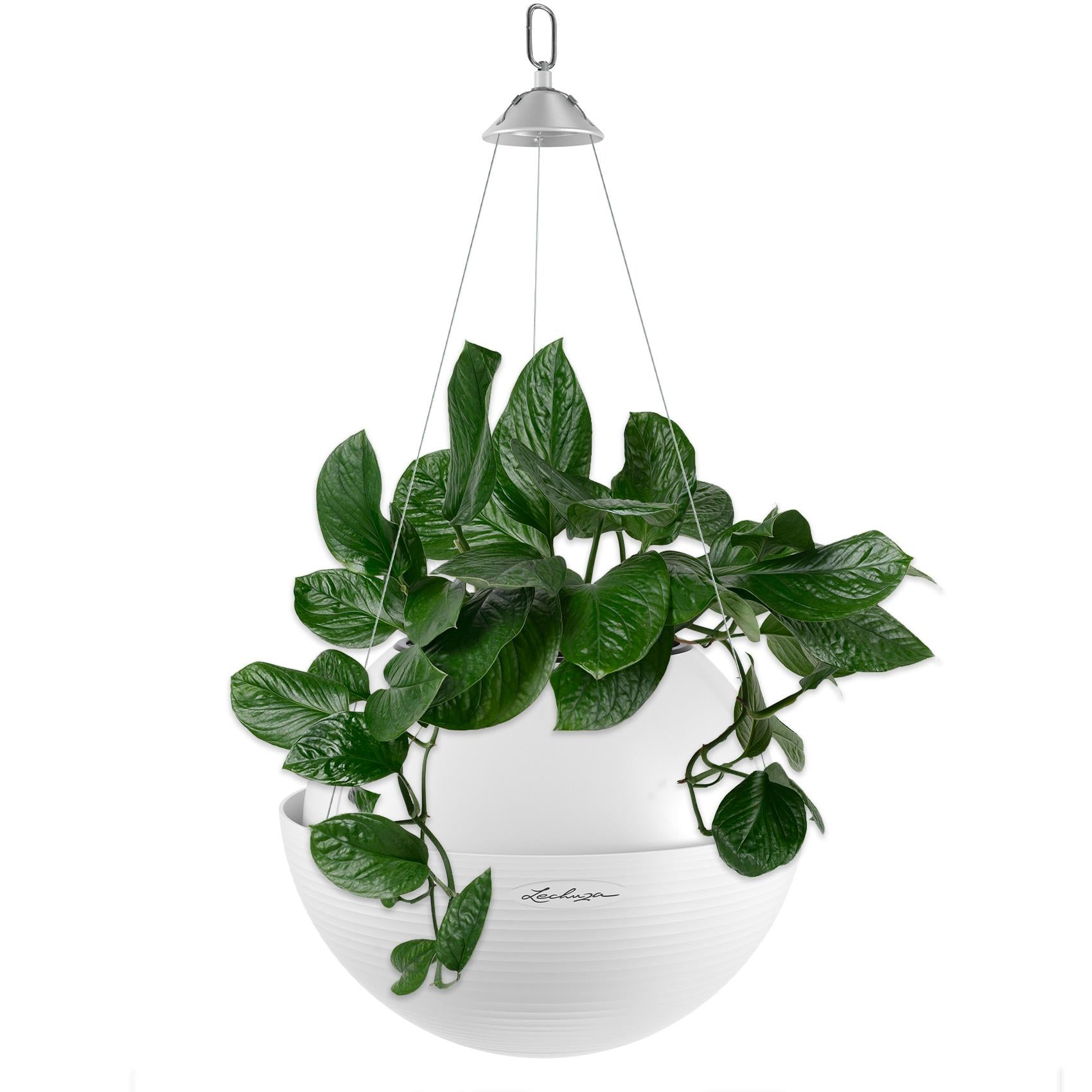 LECHUZA BOLA Color 23 Pflanzgefäss – Ø 23 × 18 cm – Kunststoff, sandbraun