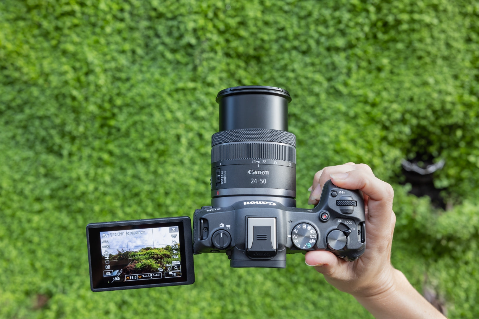 Canon EOS R8 Kit RF 24–50mm f/4,5–6,3 IS STM – Vollformat, 24,2 MP, 4K, schwarz