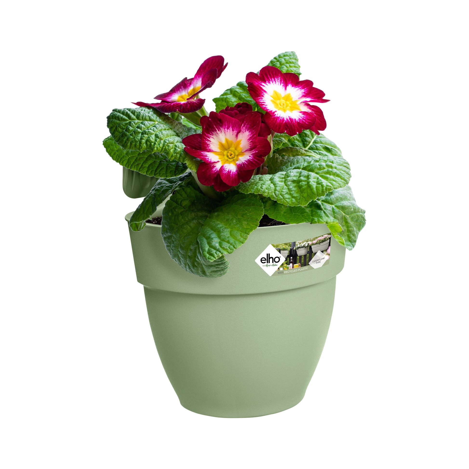 elho Hänge-Blumentopf – 2800 ml – Kunststoff, Grün