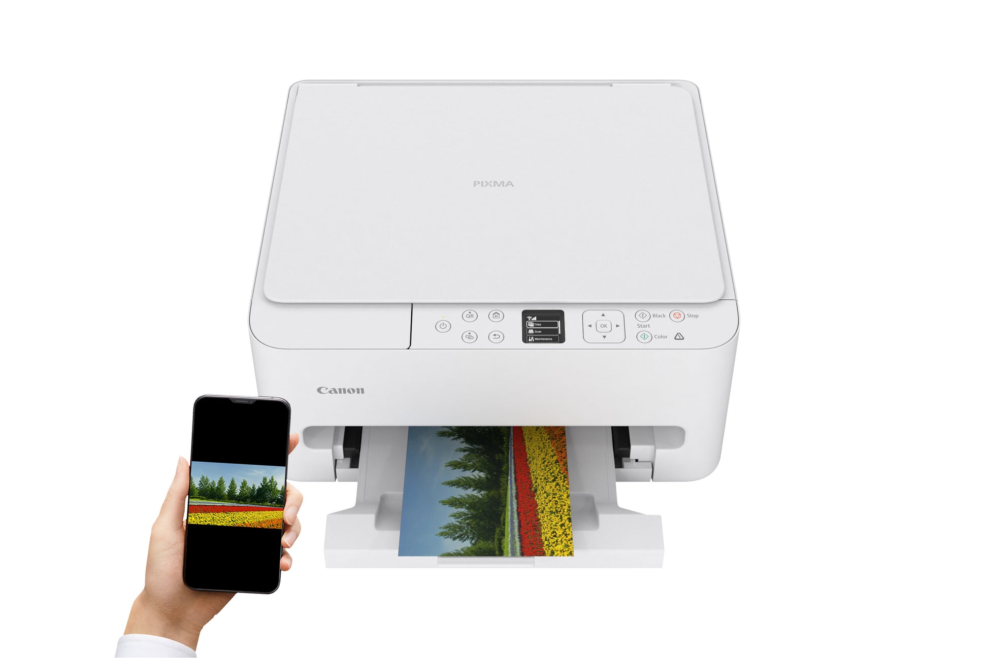 Canon PIXMA TS6550I – Farbiges Tintenstrahl-MFP A4, 3-in-1 – WLAN