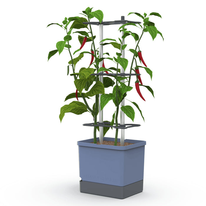 Gusta Garden Topfpflanzer – 20000 ml, automatische Bewässerung – Kunststoff, Dunkelblau