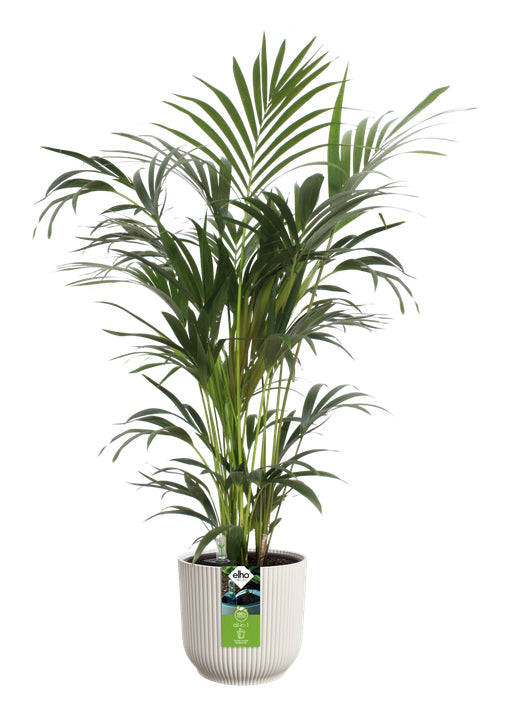 elho Pflanzgefäss – Ø 25 cm, 9200 ml – Kunststoff, Schwarz