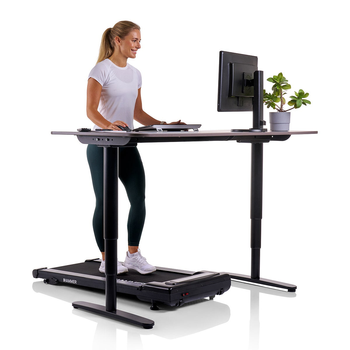 HAMMER Walkingpad Walk 2.0, 120 kg, 552 W – Schwarz