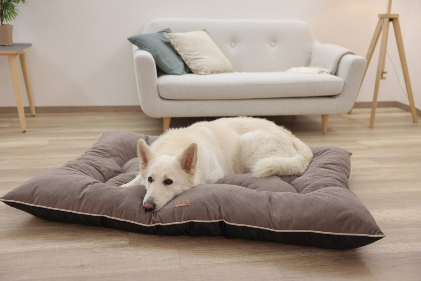 Kerbl Benno Hundekissen – 75 × 100 × 12 cm, Polyesterbezug, abnehmbarer Bezug, Anti-Rutsch-Basis, Braun