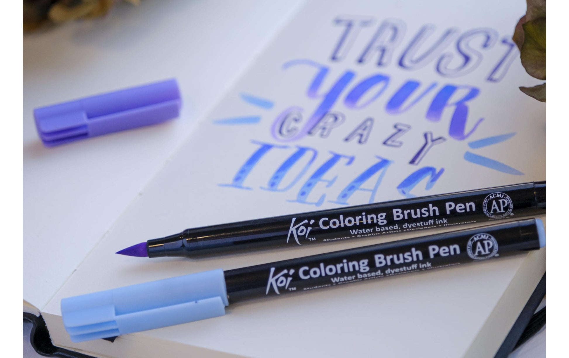 Sakura Filzstifte Koi Colouring, 6 Farben