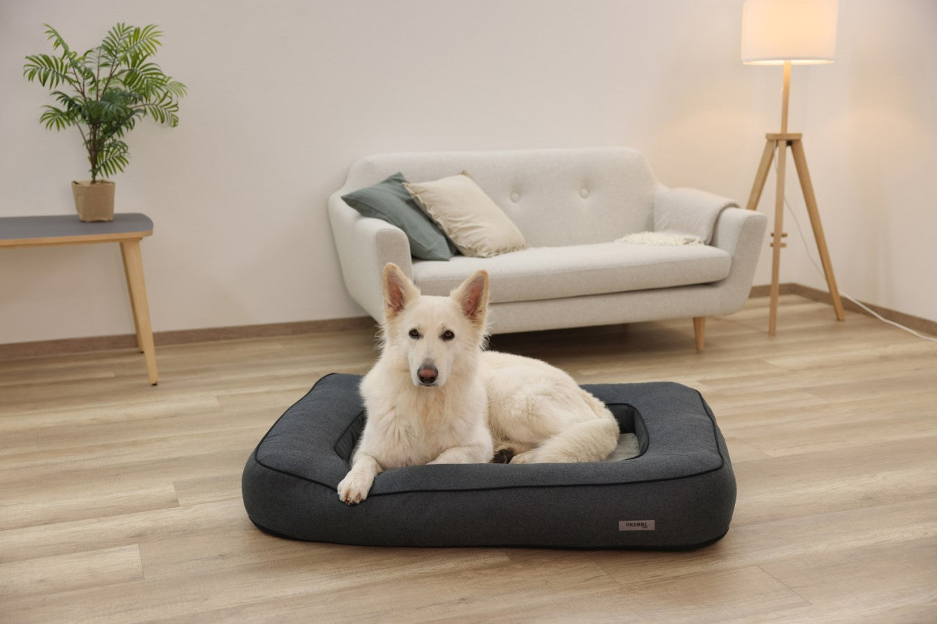 Kerbl Platin Ortho Hundebett – 70 × 100 × 18 cm, Schaumstoff, abnehmbarer Bezug, grau