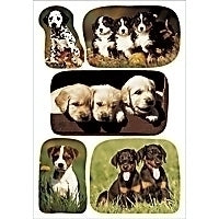 HERMA Schmucketiketten – Hundewelpenfotos – 15 Stück – permanent – mehrfarbig