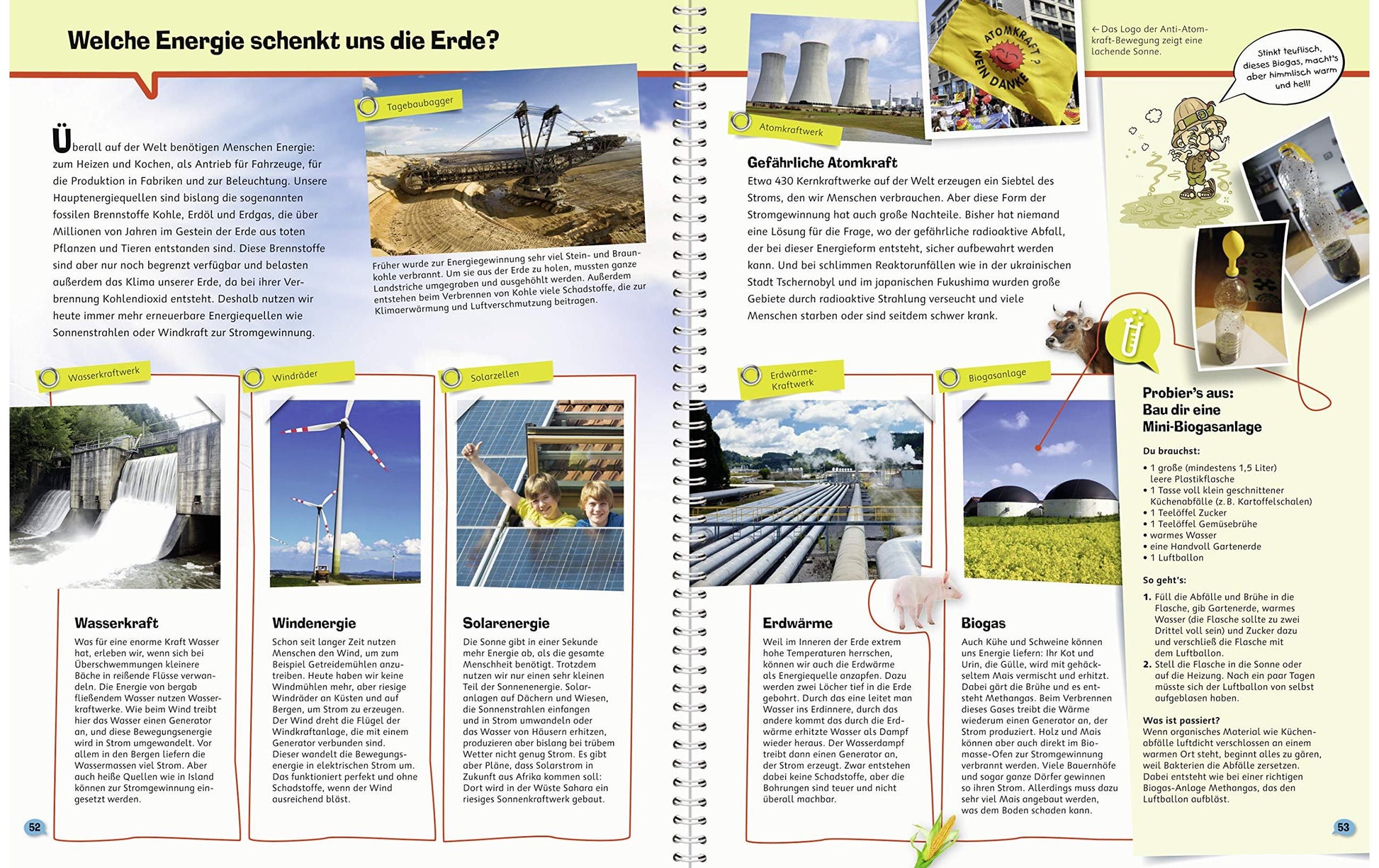 Ravensburger Buch – WWW ProfiWissen 1: Die Erde, Spiralbindung, 56 Seiten, Deutsch, ab 8 Jahren