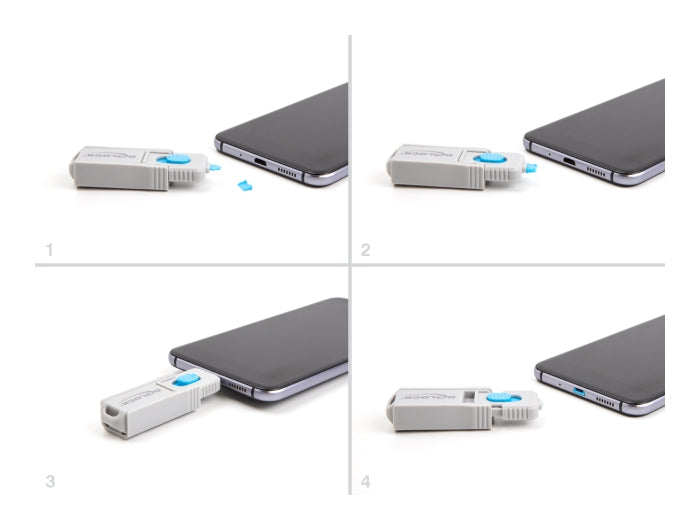 DeLOCK Portblocker – 5er-Set – Blau/Grau – mit Schlüssel – für Micro-USB