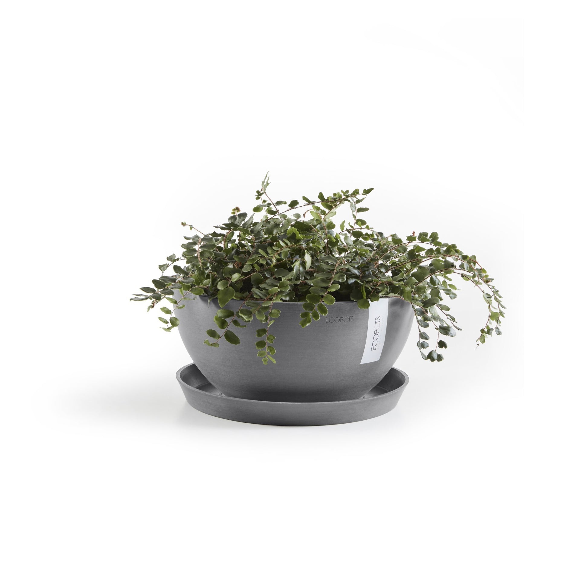 Ecopots Unterteller – Ø 21 × 2,5 cm – Recycling-Kunststoff, Grau