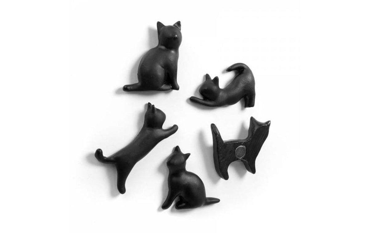 Trendform Meow Tafelmagnete – Ø 29 mm – 5 Stück, Schwarz, Kunstharz