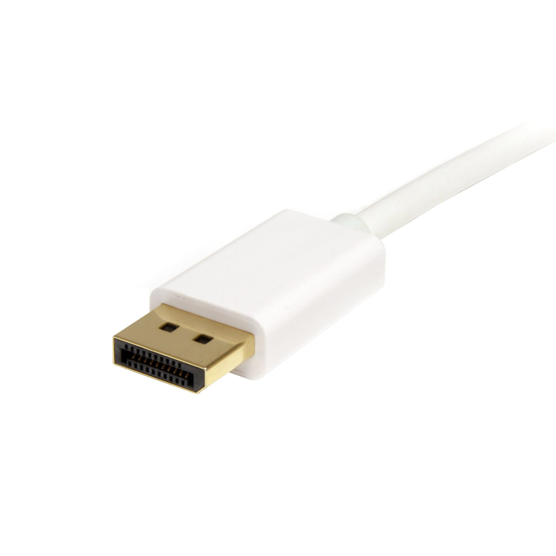 StarTech.com Mini-DisplayPort-zu-DisplayPort-Kabel - 1,0 m