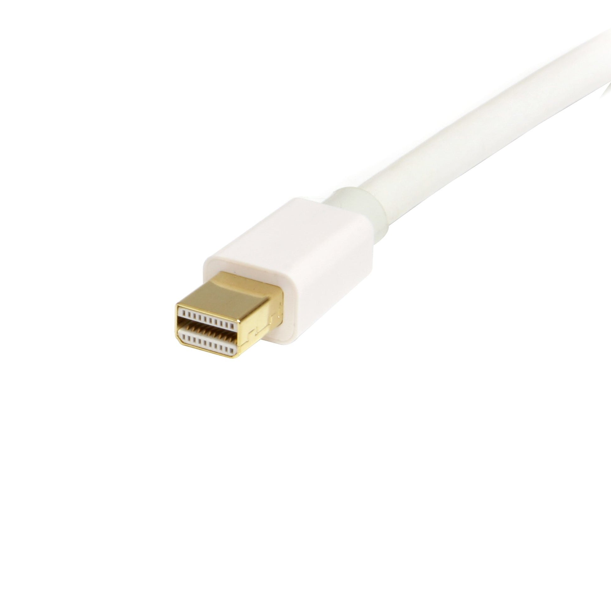 StarTech.com Mini-DisplayPort-zu-DisplayPort-Kabel - 1,0 m